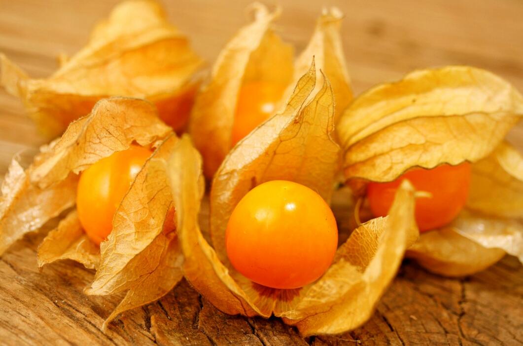 農業自動氣象站助力菇娘規?；N植