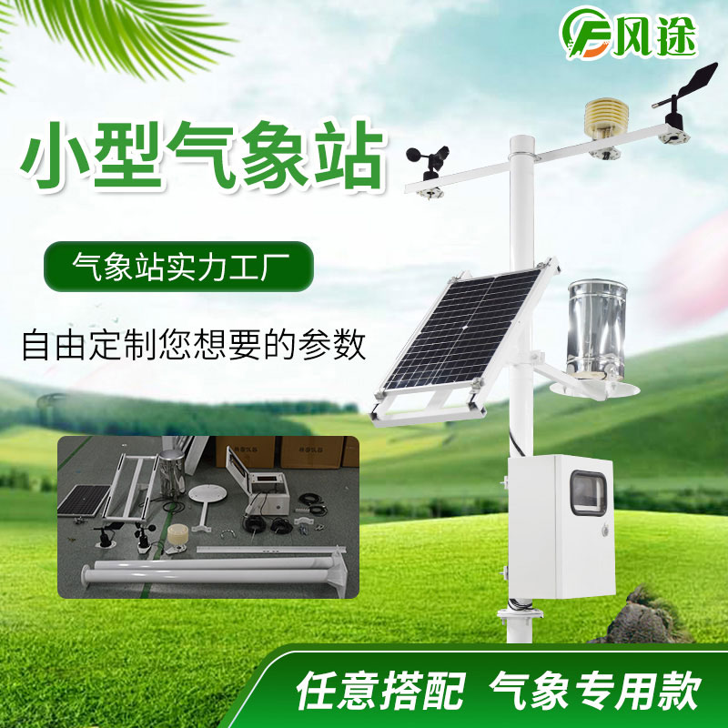 紅花的種植要求 紅花的種植要求